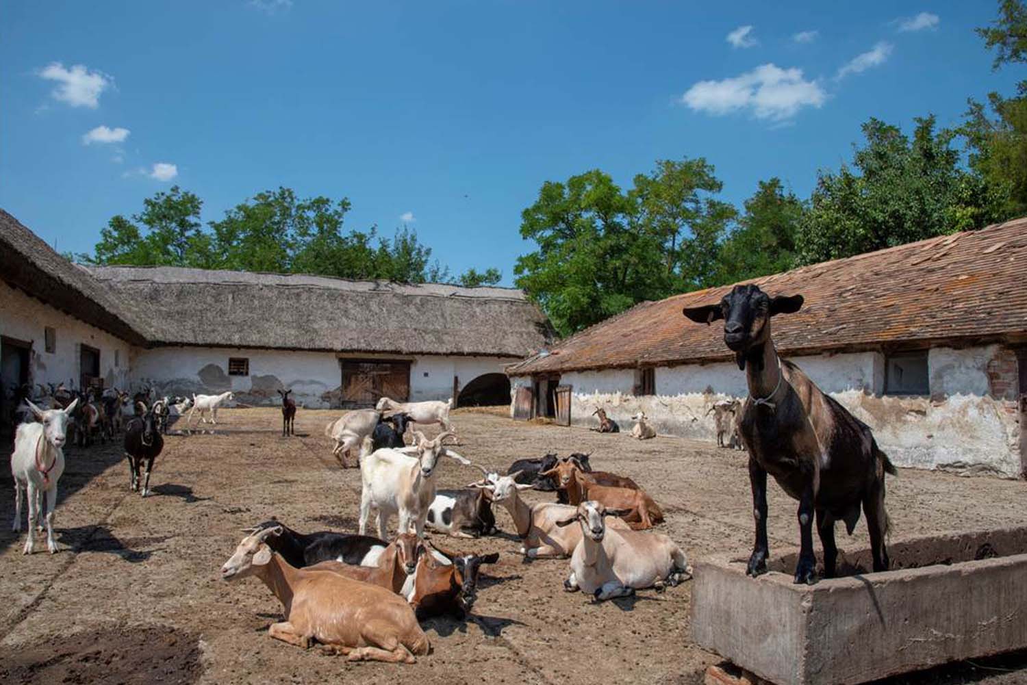 Stipkovits-Ábrány Nikoletta fotográfus vizsgaremek 