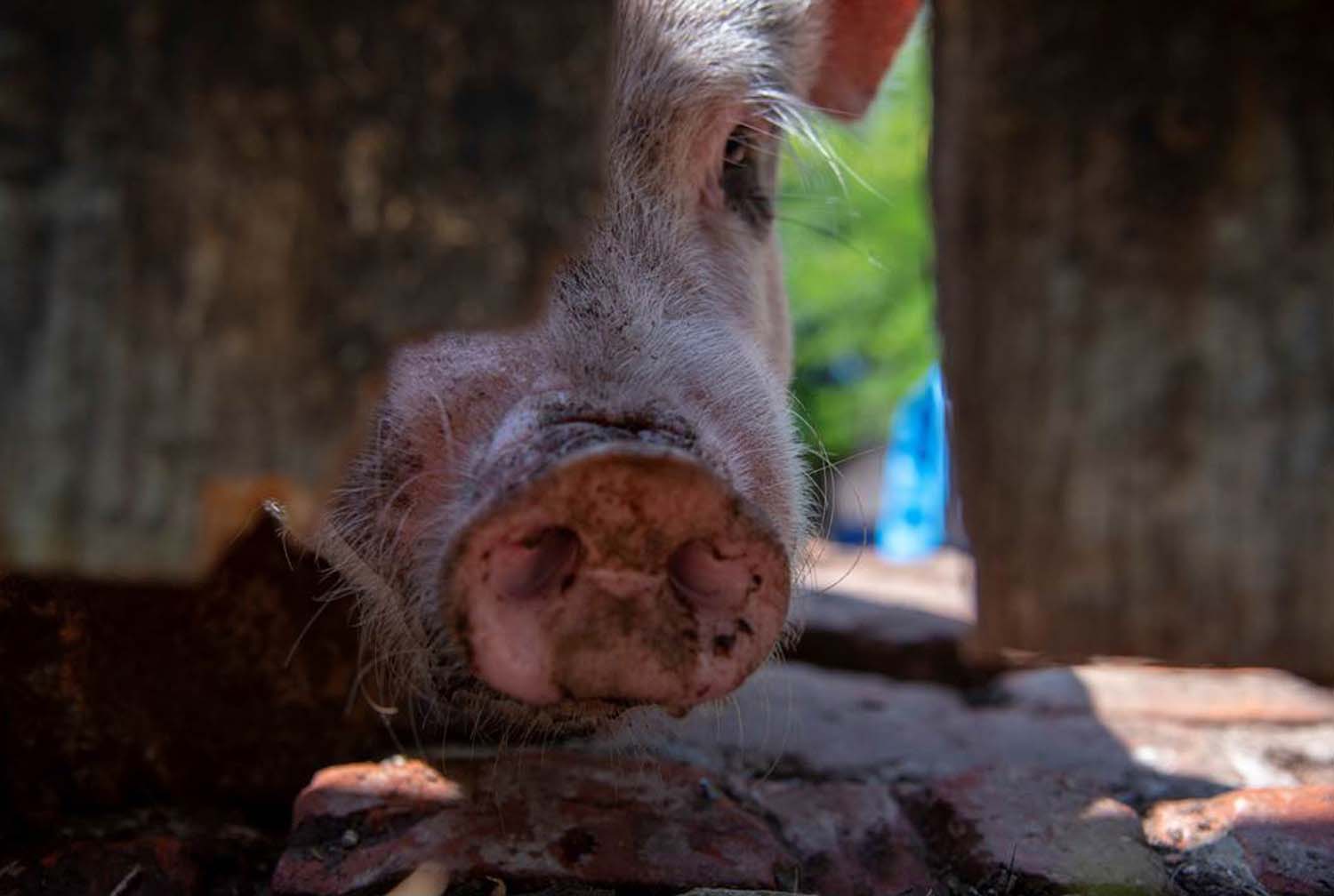 Stipkovits-Ábrány Nikoletta fotográfus vizsgaremek 