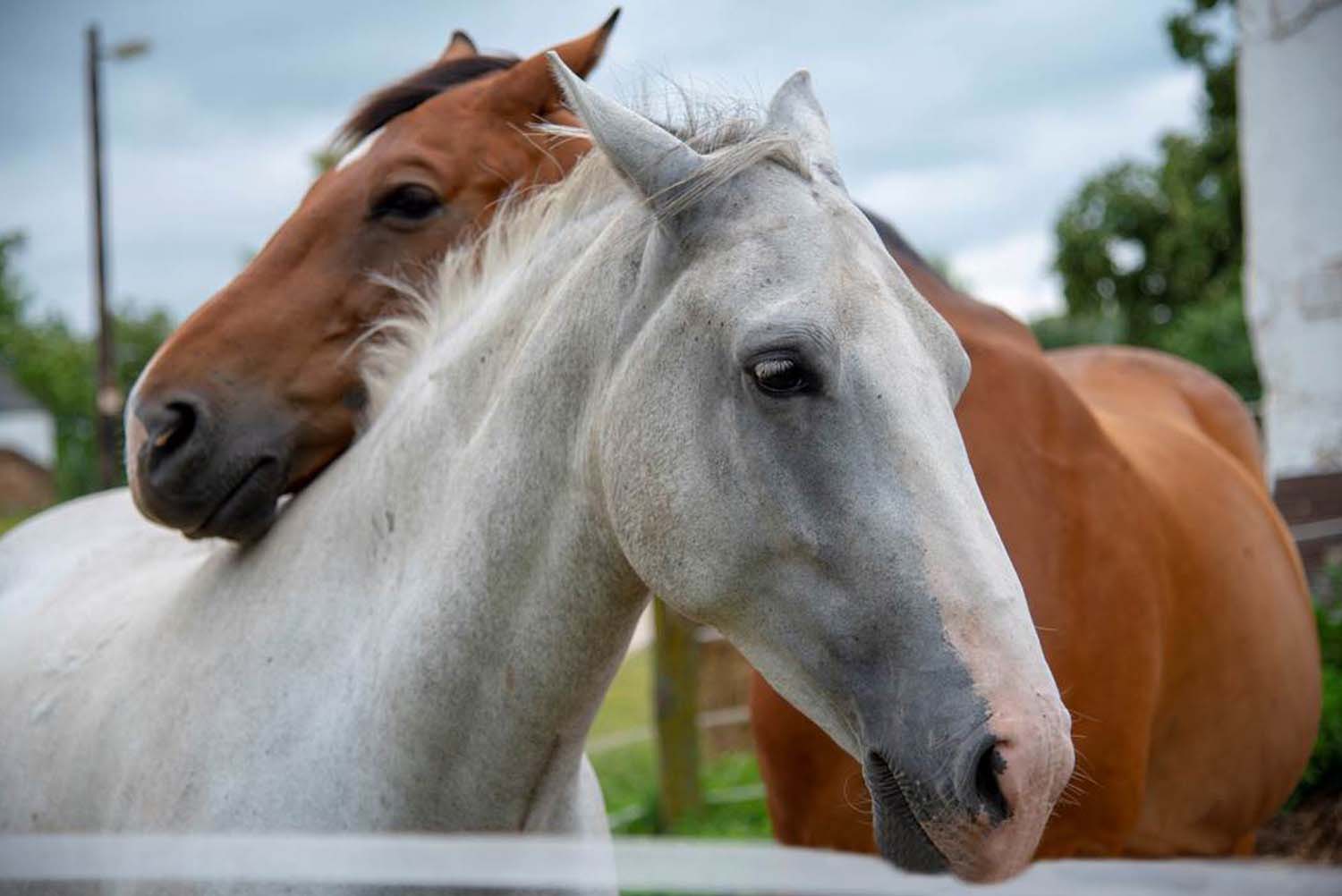 Stipkovits-Ábrány Nikoletta fotográfus vizsgaremek 
