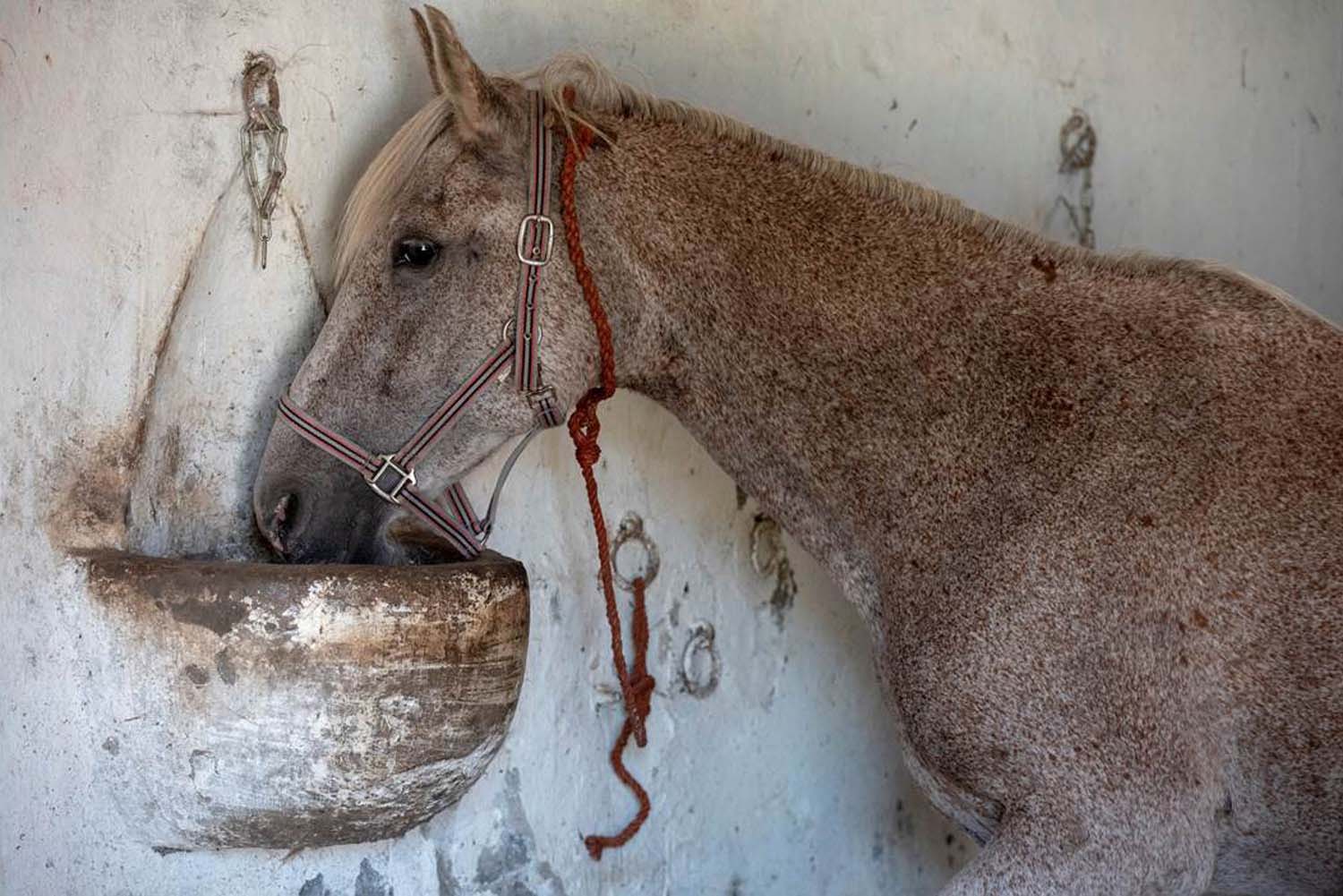 Stipkovits-Ábrány Nikoletta fotográfus vizsgaremek 