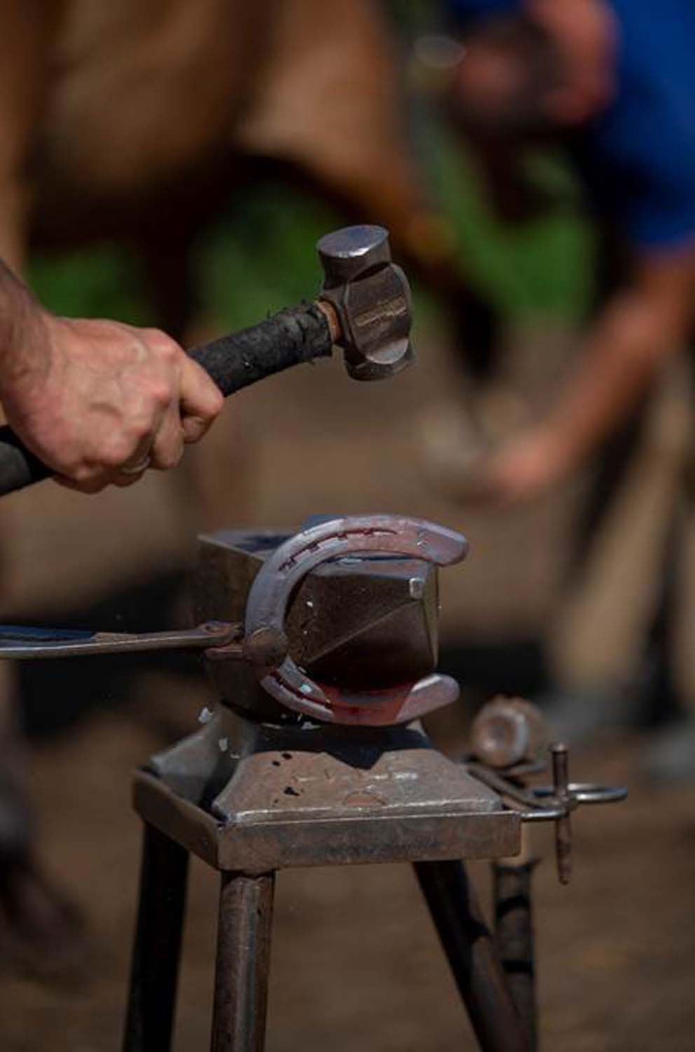 Stipkovits-Ábrány Nikoletta fotográfus vizsgaremek 