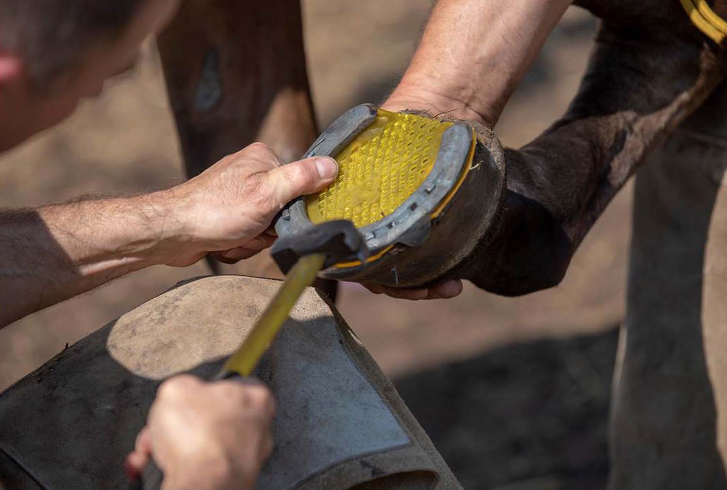 Stipkovits-Ábrány Nikoletta fotográfus vizsgaremek 