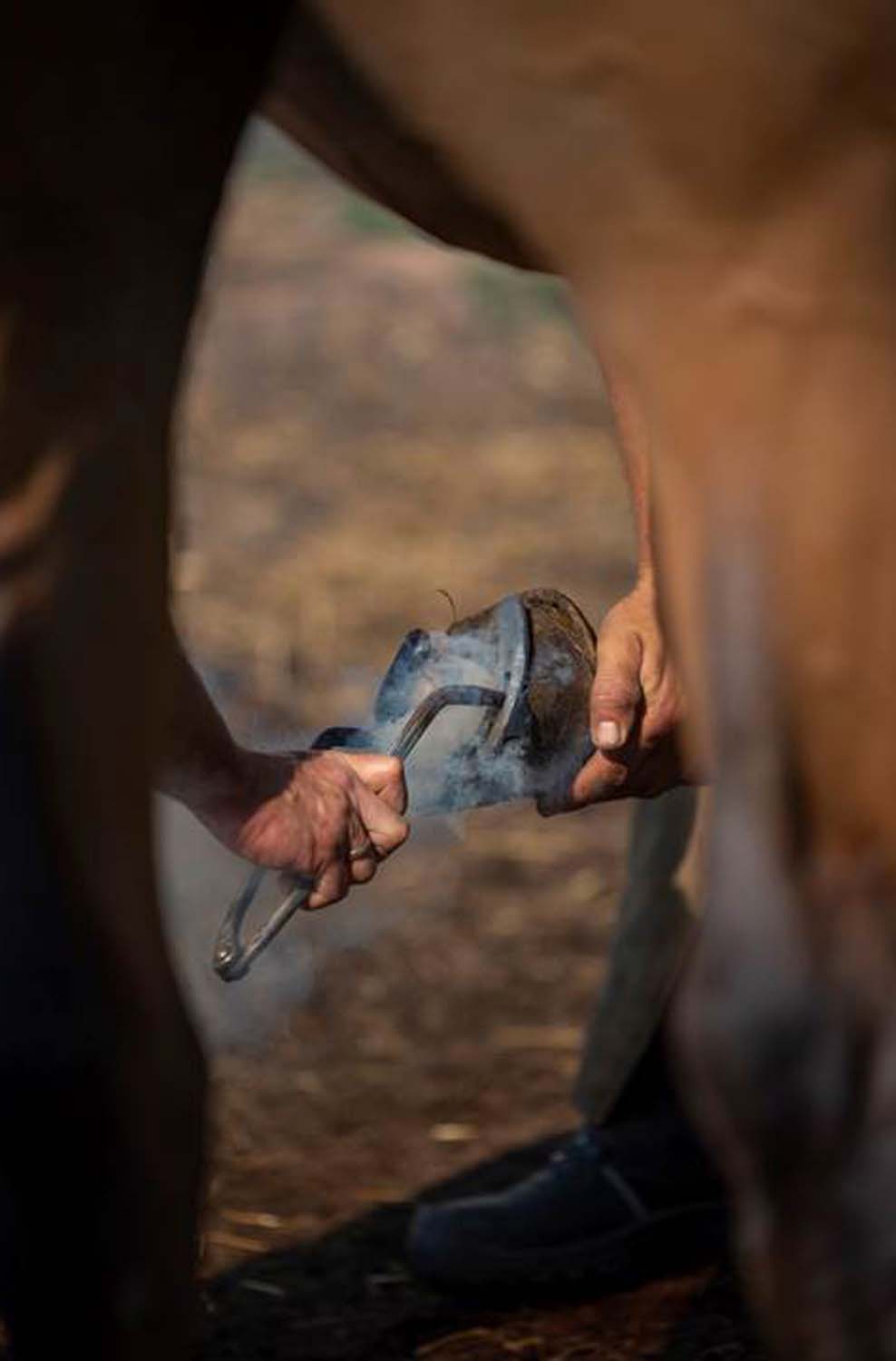 Stipkovits-Ábrány Nikoletta fotográfus vizsgaremek 