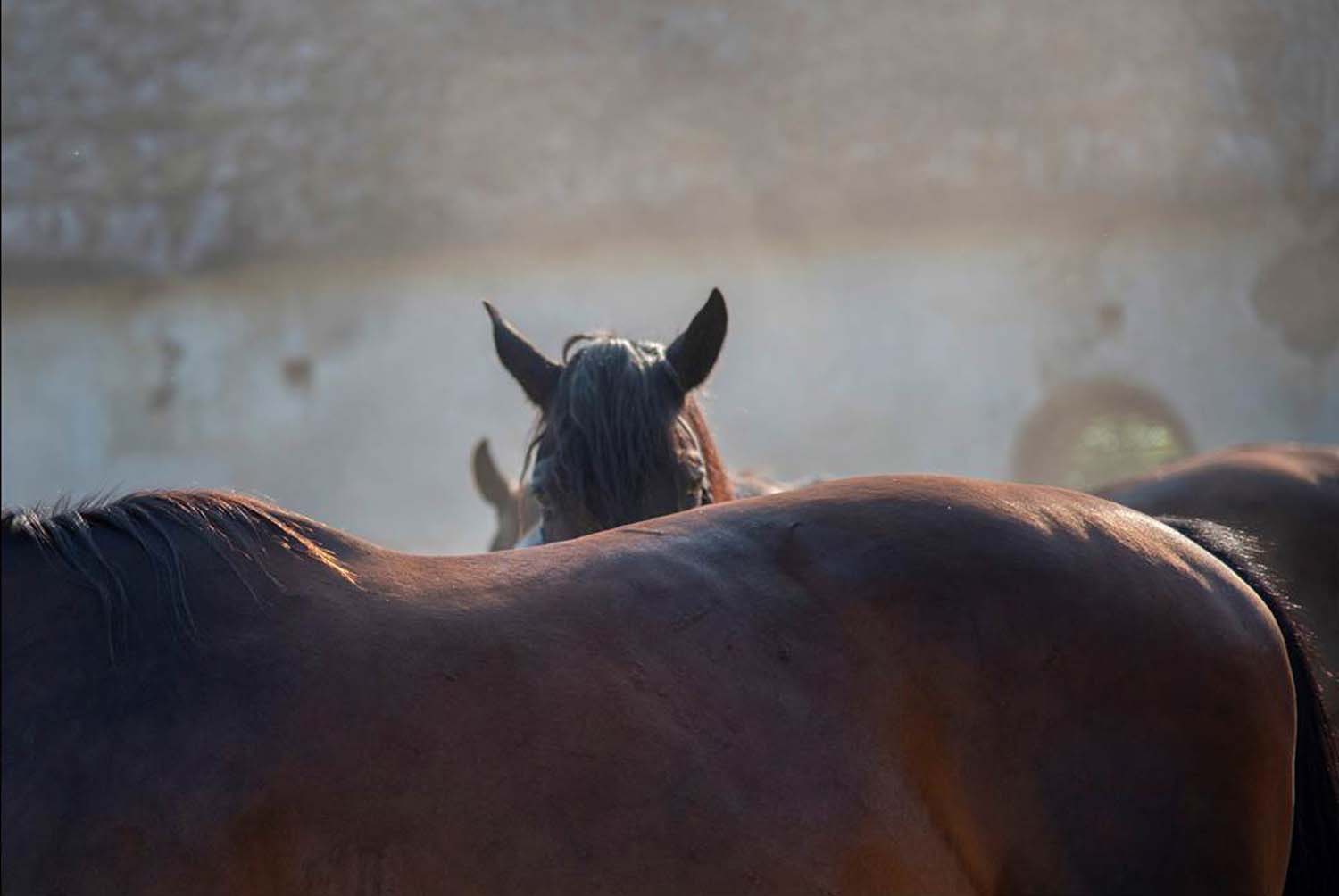 Stipkovits-Ábrány Nikoletta fotográfus vizsgaremek 