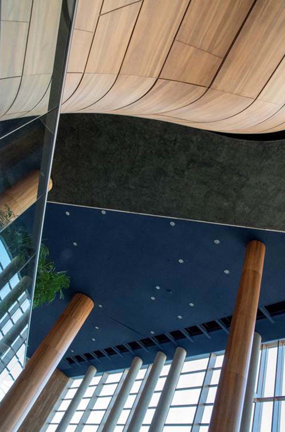 Stipkovits-Ábrány Nikoletta fotográfus vizsgaremek 