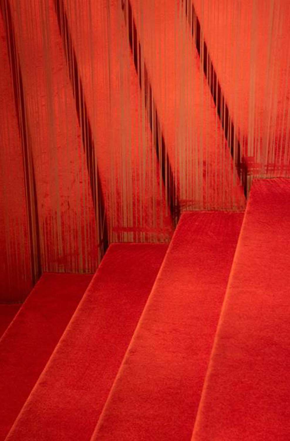 Stipkovits-Ábrány Nikoletta fotográfus vizsgaremek 