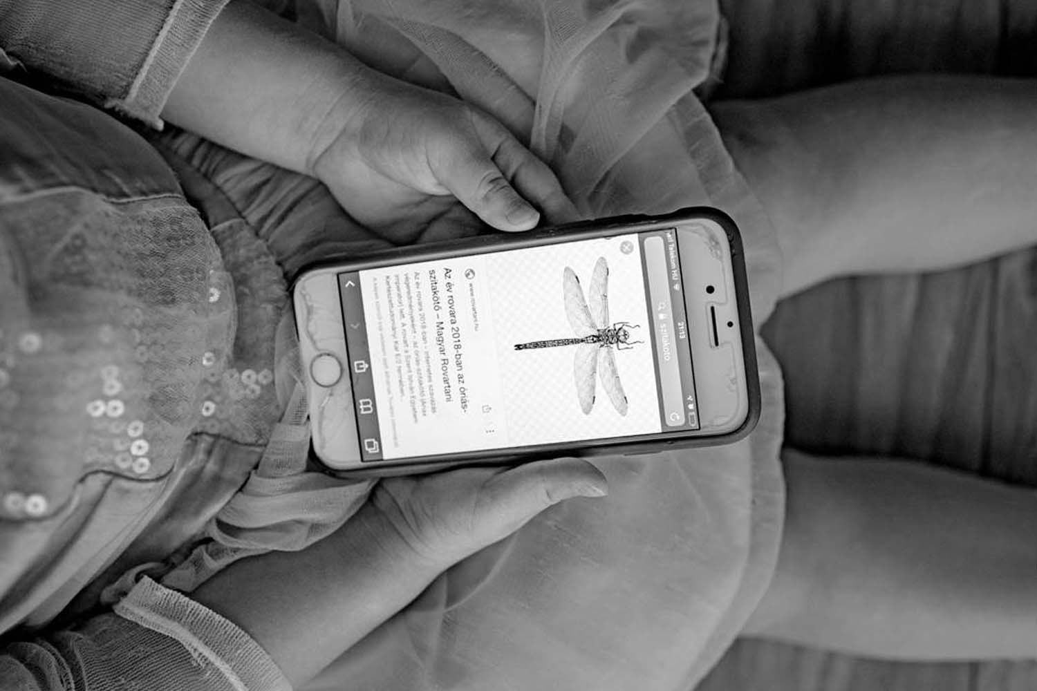 Stipkovits-Ábrány Nikoletta fotográfus vizsgaremek 