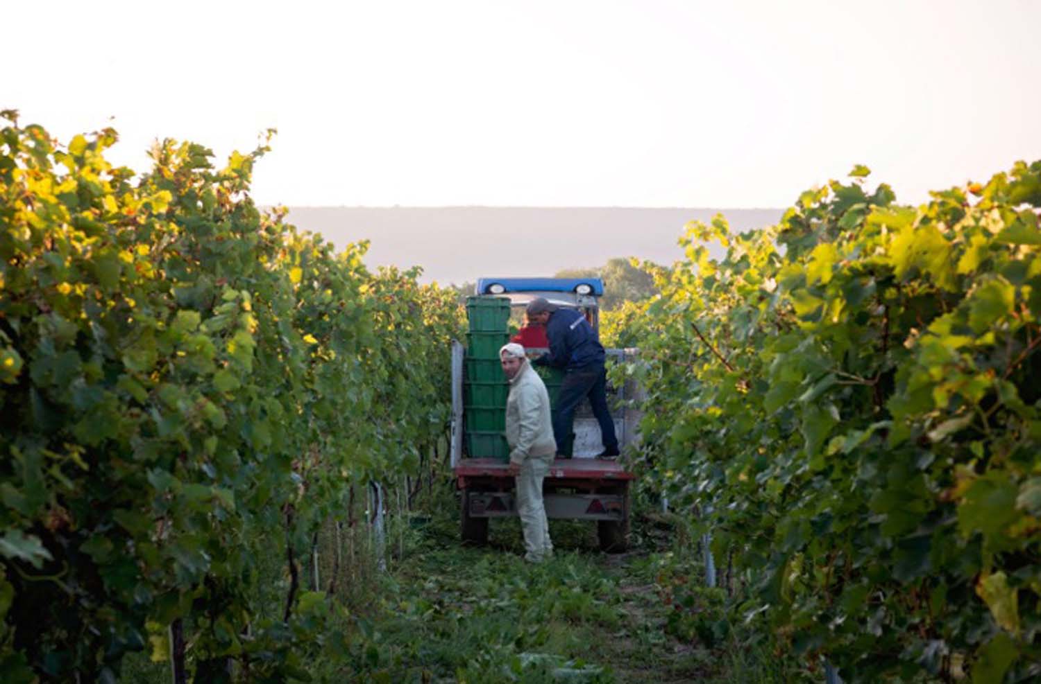 Udvardy-Marton Kinga fotográfus vizsgaremek 