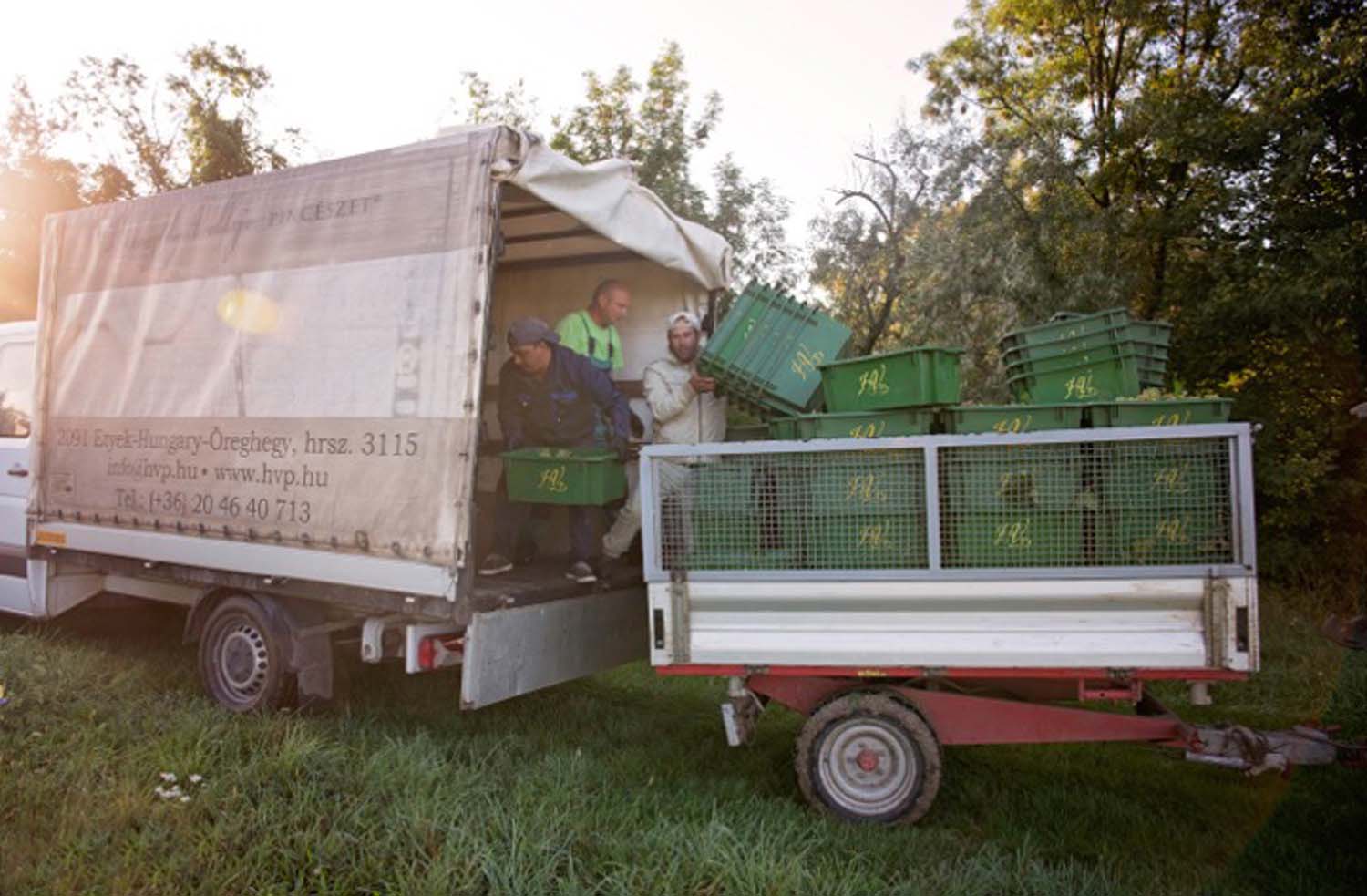 Udvardy-Marton Kinga fotográfus vizsgaremek 