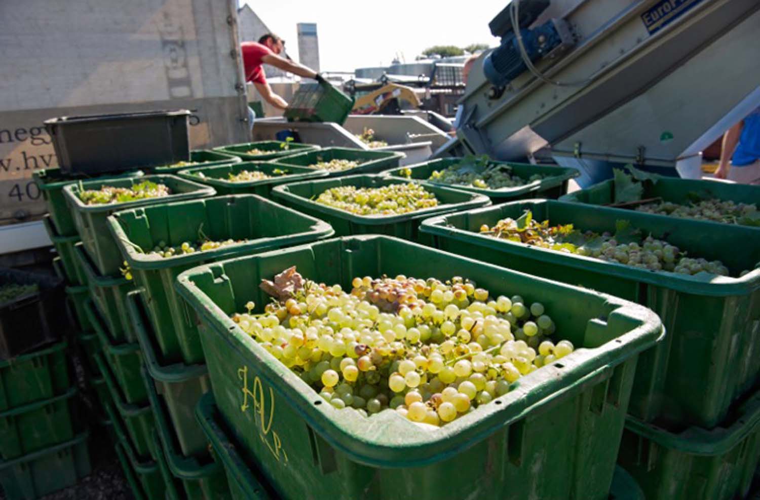 Udvardy-Marton Kinga fotográfus vizsgaremek 