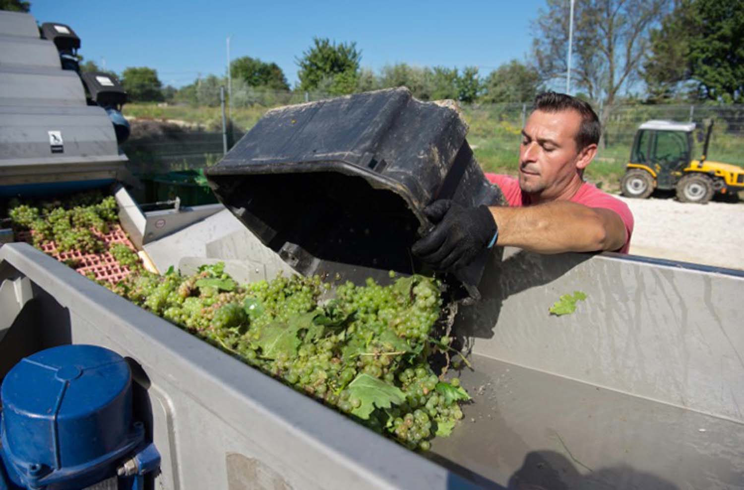 Udvardy-Marton Kinga fotográfus vizsgaremek 