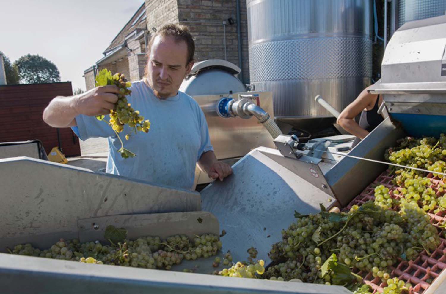 Udvardy-Marton Kinga fotográfus vizsgaremek 