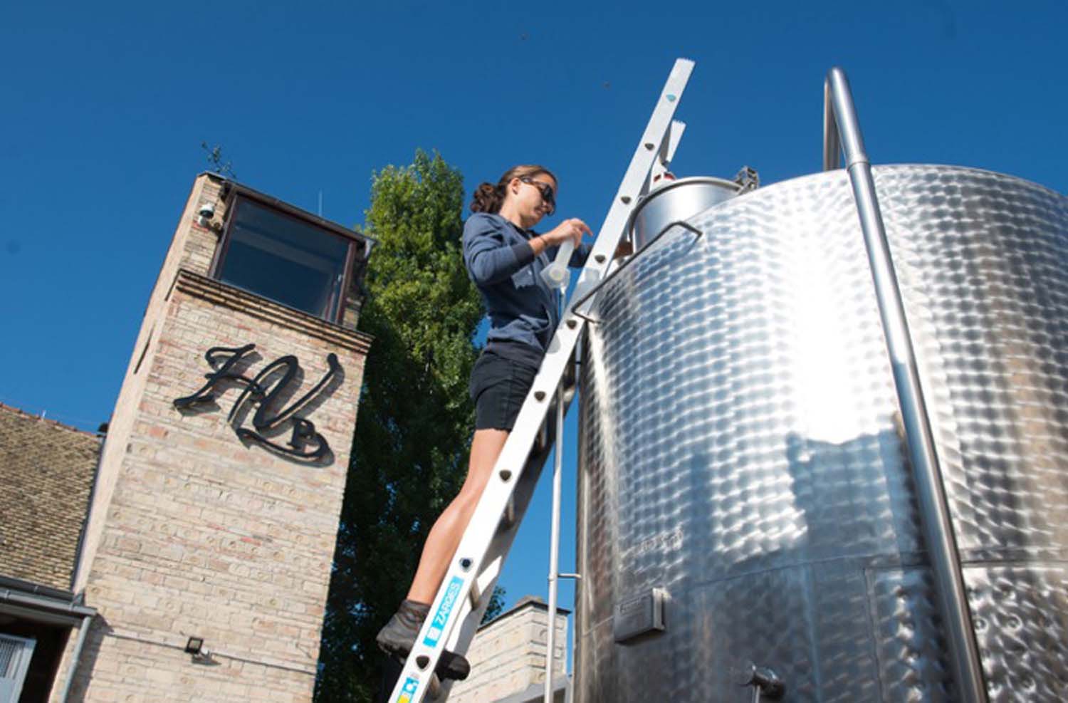 Udvardy-Marton Kinga fotográfus vizsgaremek 