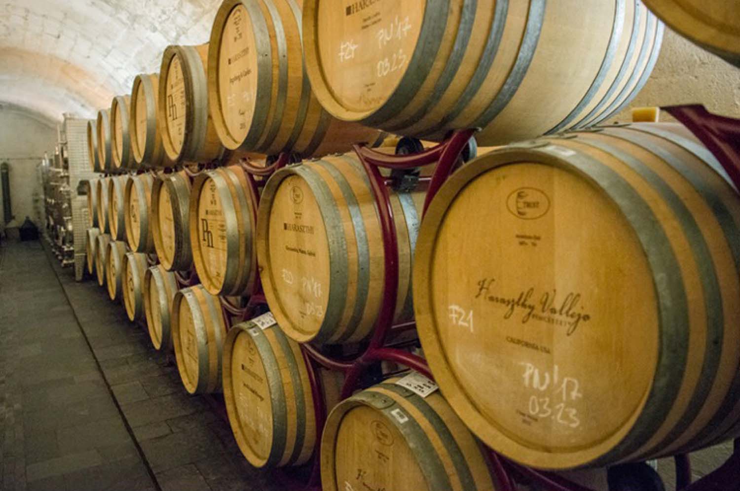 Udvardy-Marton Kinga fotográfus vizsgaremek 