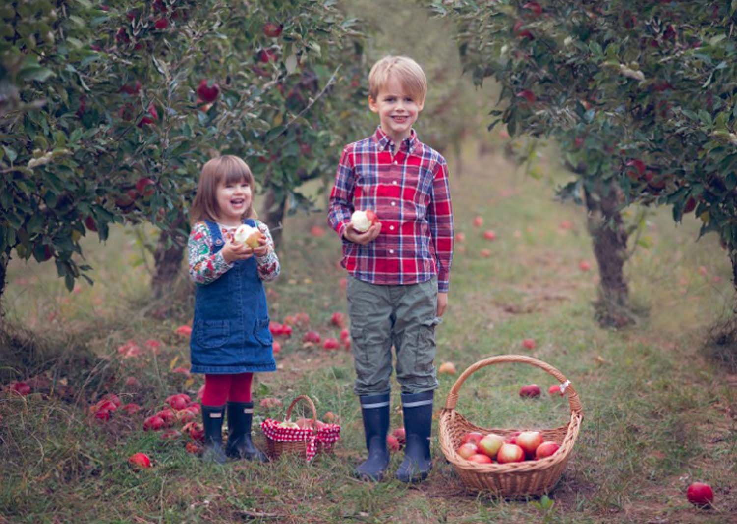 Udvardy-Marton Kinga fotográfus vizsgaremek 