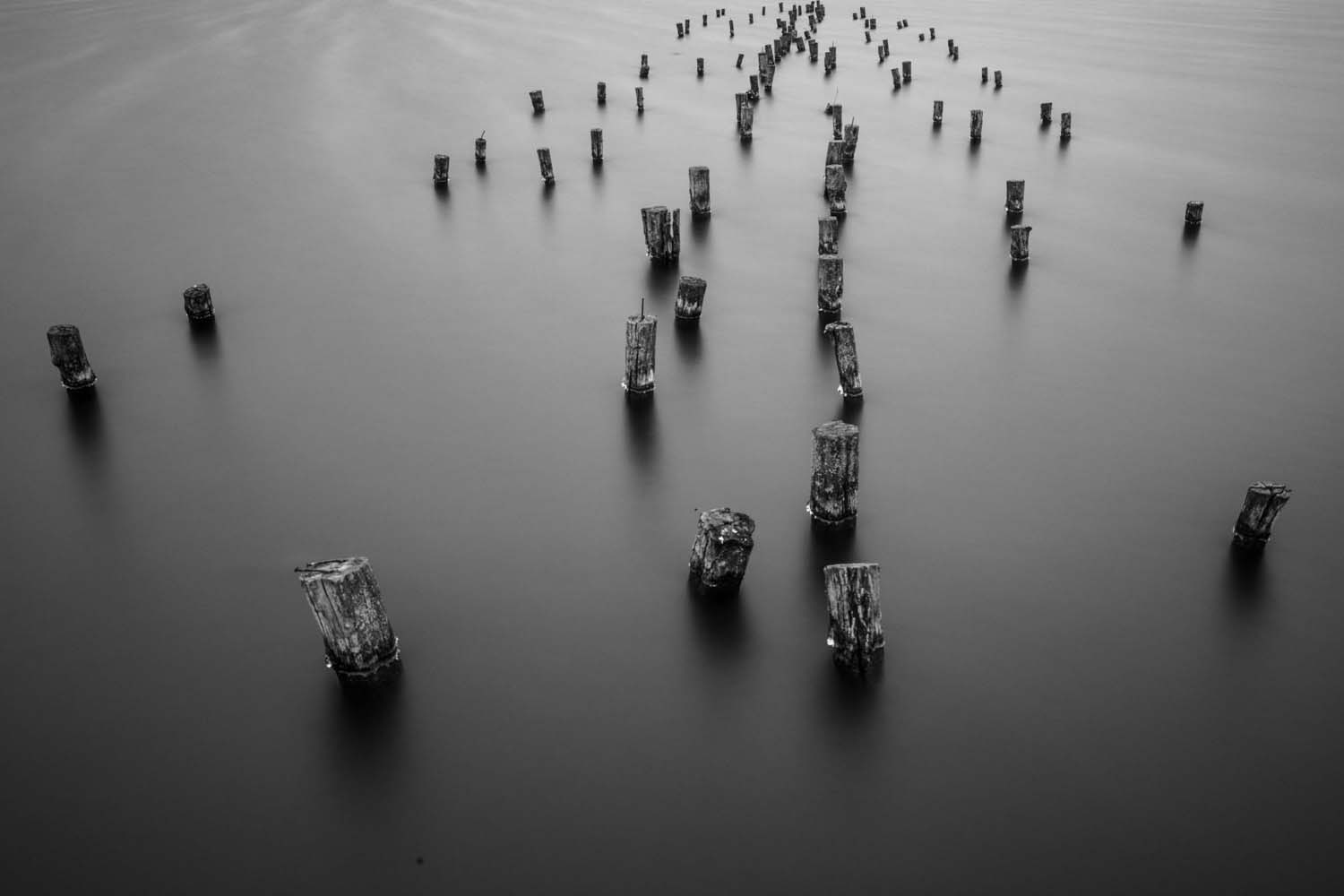 Vörös Ádám fotográfus vizsgaremek 