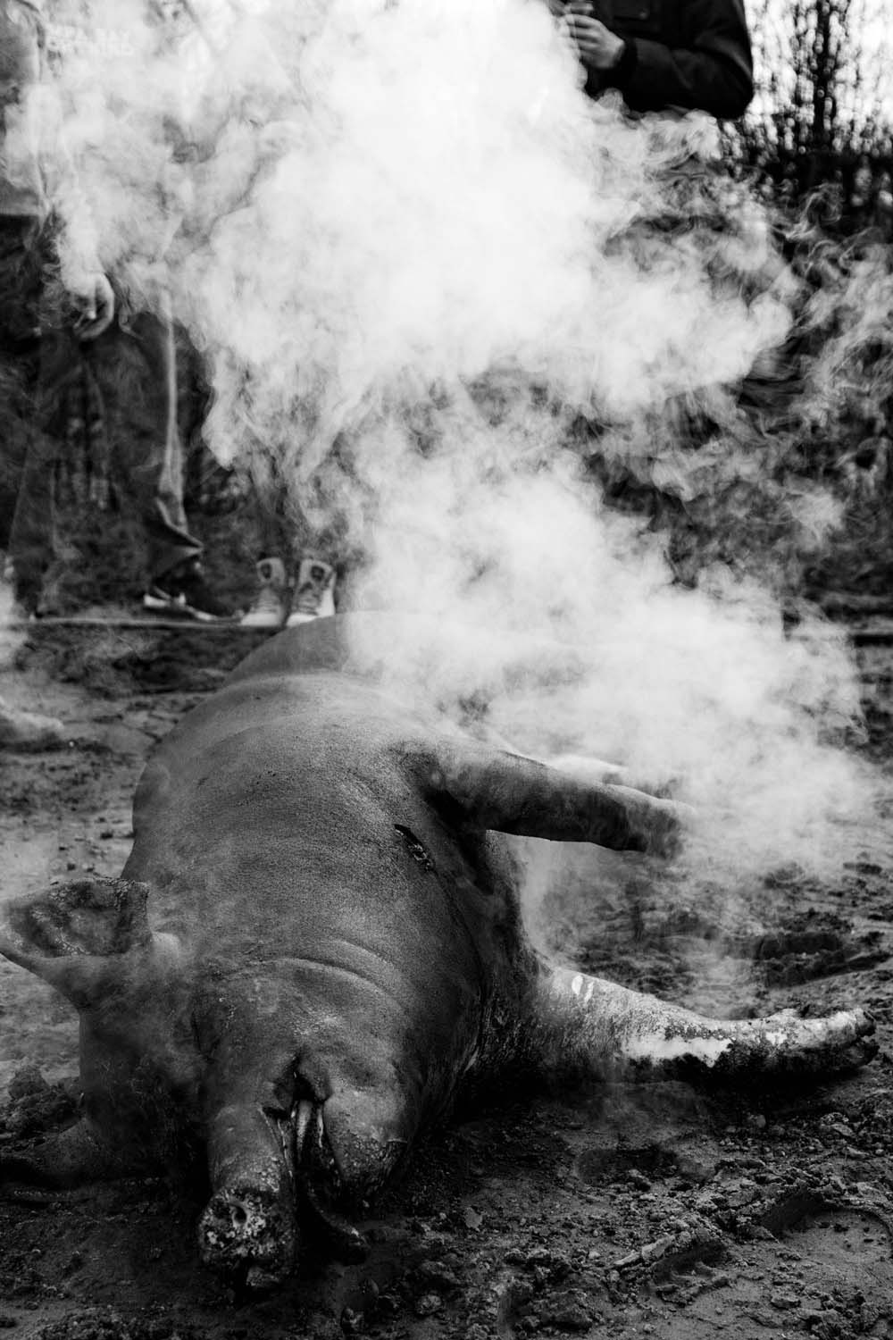 Vörös Ádám fotográfus vizsgaremek 