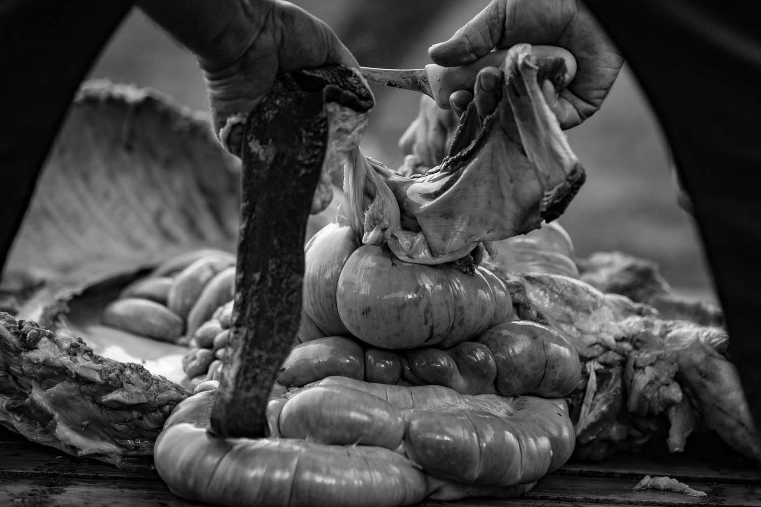 Vörös Ádám fotográfus vizsgaremek 