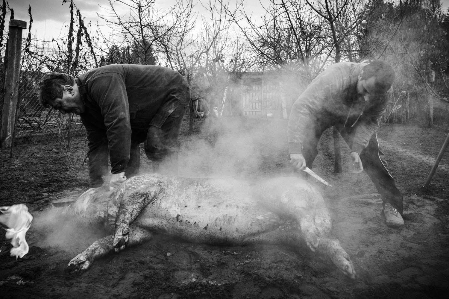 Vörös Ádám fotográfus vizsgaremek 