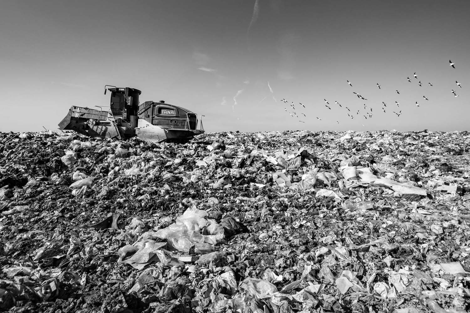 Vörös Ádám fotográfus vizsgaremek 