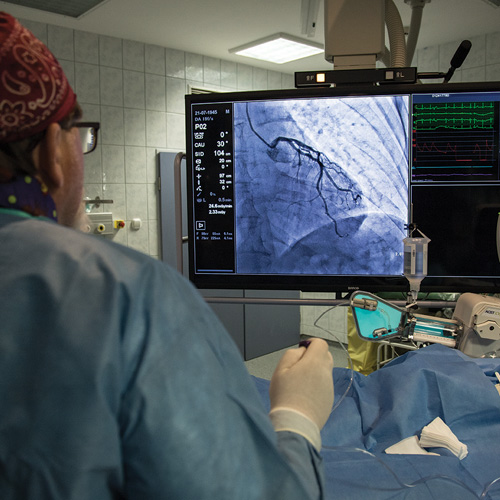 Érsek Renáta fotográfus fotográfus OKJ