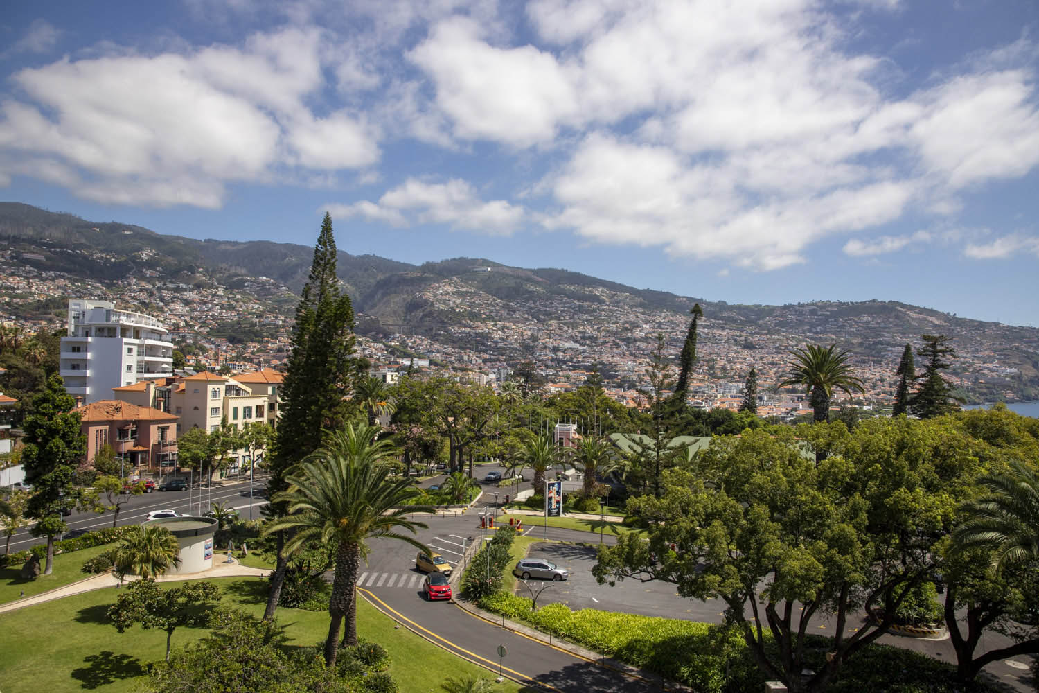 Érsek Renáta fotográfus fotográfus vizsgaremek 
