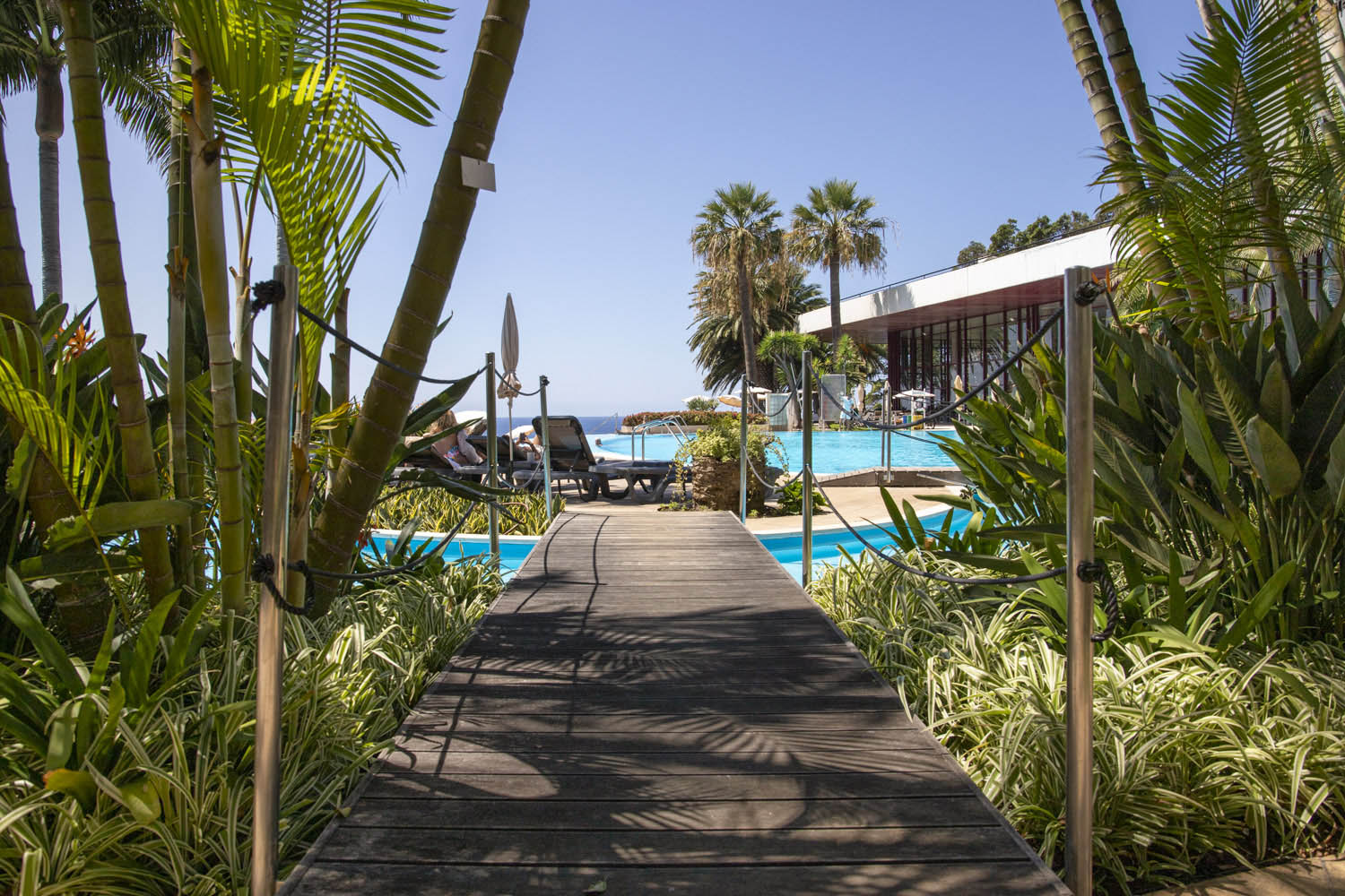 Érsek Renáta fotográfus fotográfus vizsgaremek 