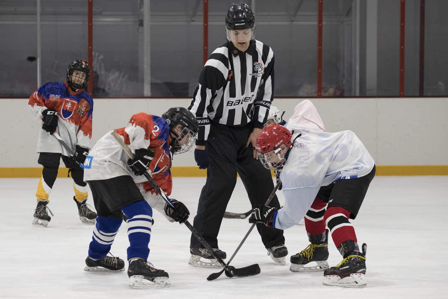 Érsek Renáta fotográfus fotográfus vizsgaremek 