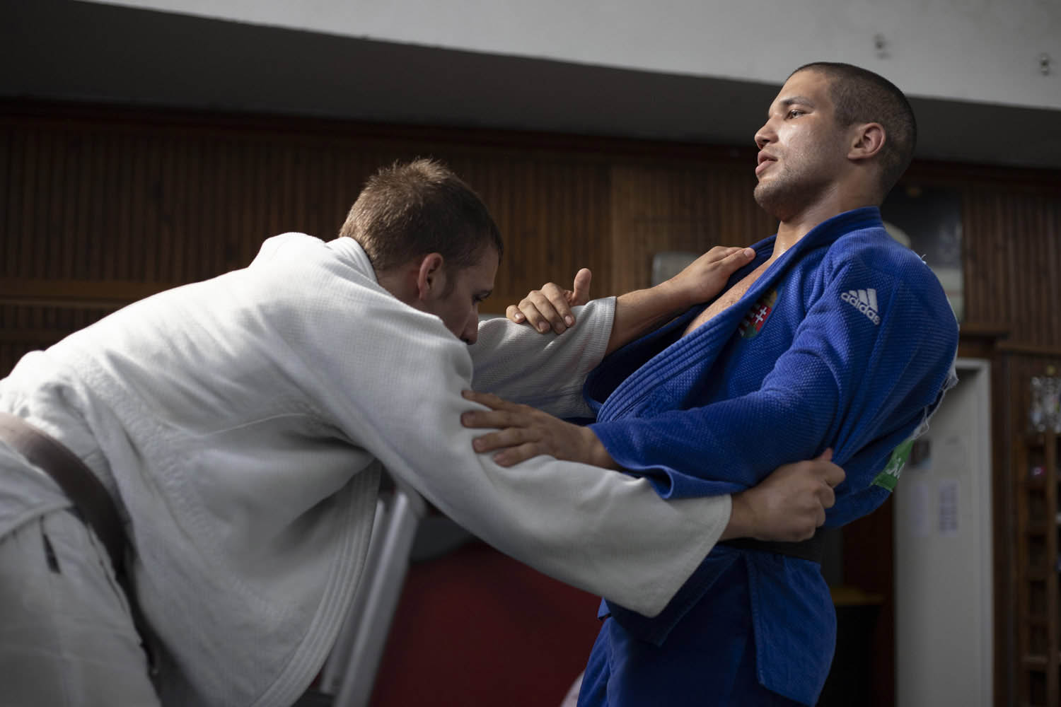 Érsek Renáta fotográfus fotográfus vizsgaremek 