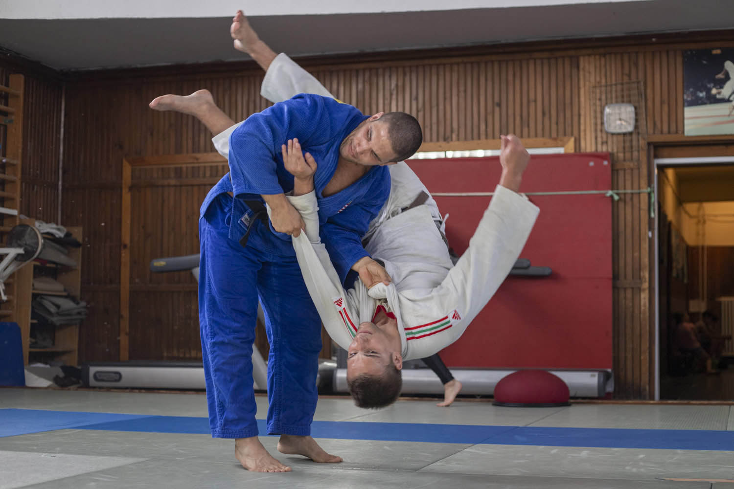 Érsek Renáta fotográfus fotográfus vizsgaremek 