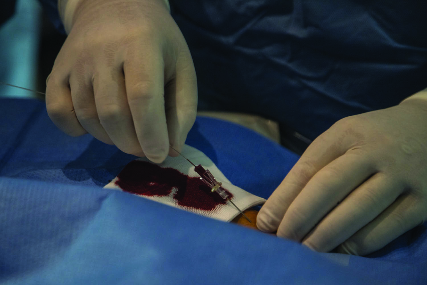 Érsek Renáta fotográfus fotográfus vizsgaremek 