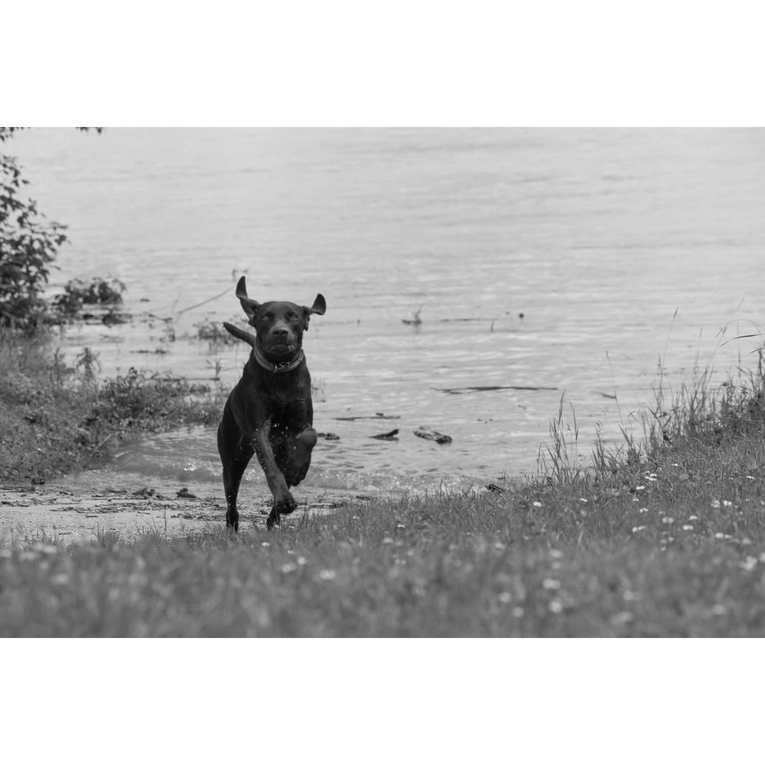 Katkó Blanka fotográfus fotográfus vizsgaremek 