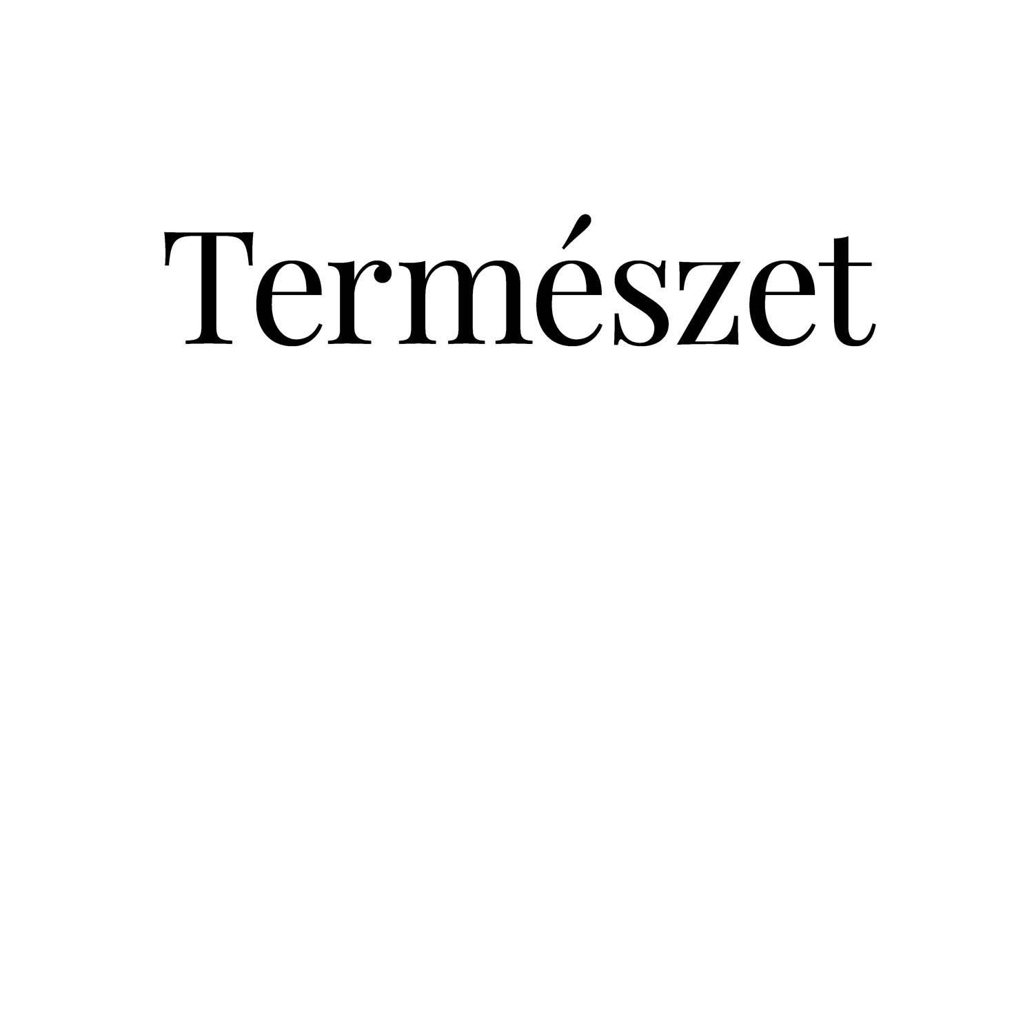 Katkó Blanka fotográfus fotográfus vizsgaremek 