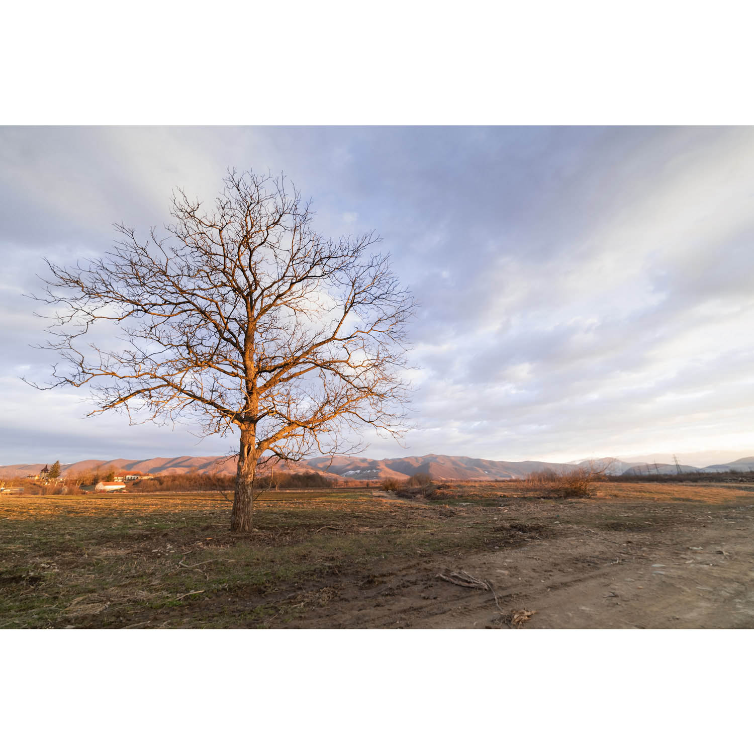 Katkó Blanka fotográfus fotográfus vizsgaremek 