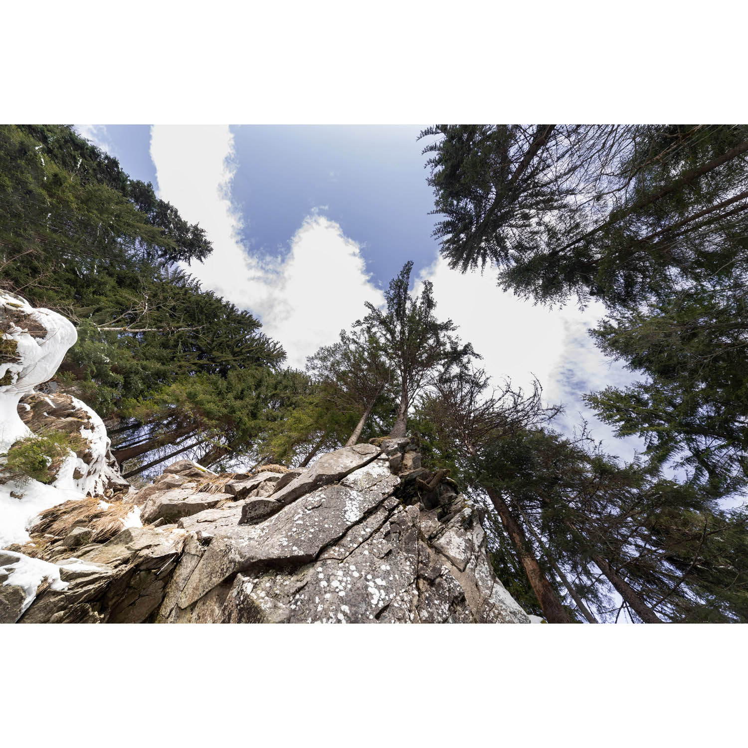 Katkó Blanka fotográfus fotográfus vizsgaremek 