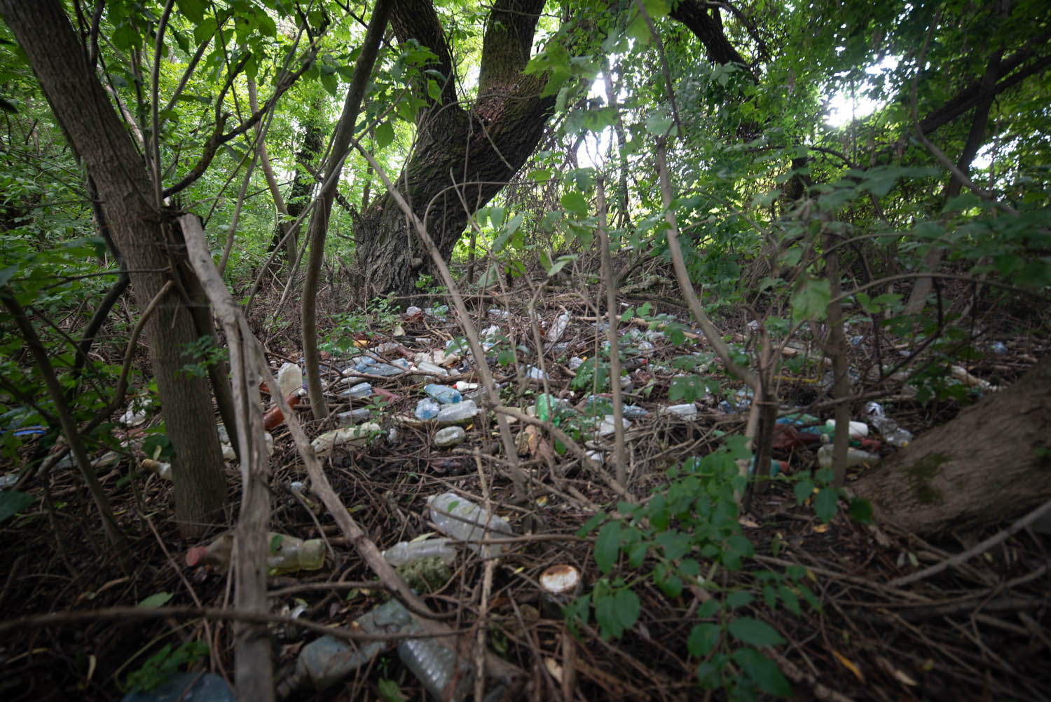 Katkó Blanka fotográfus fotográfus vizsgaremek 