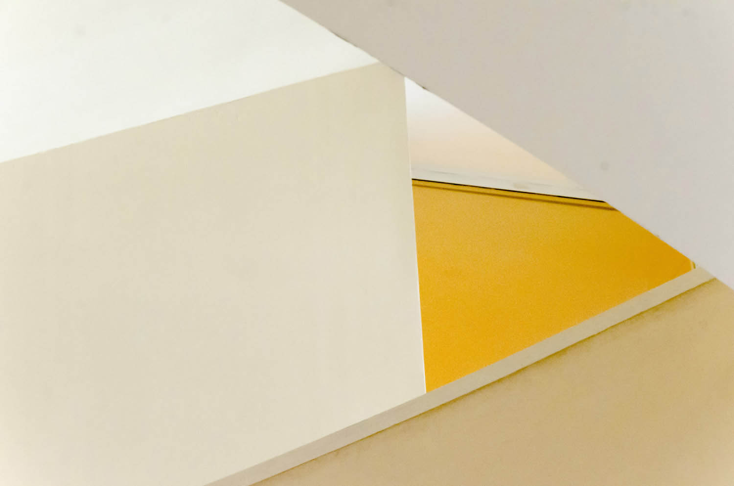 Kavecz Edina fotográfus fotográfus vizsgaremek 