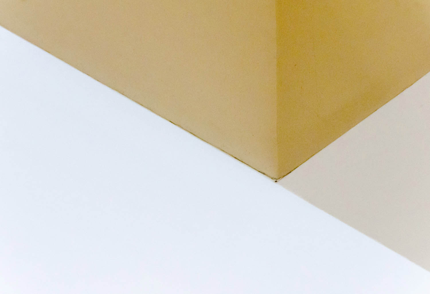 Kavecz Edina fotográfus fotográfus vizsgaremek 