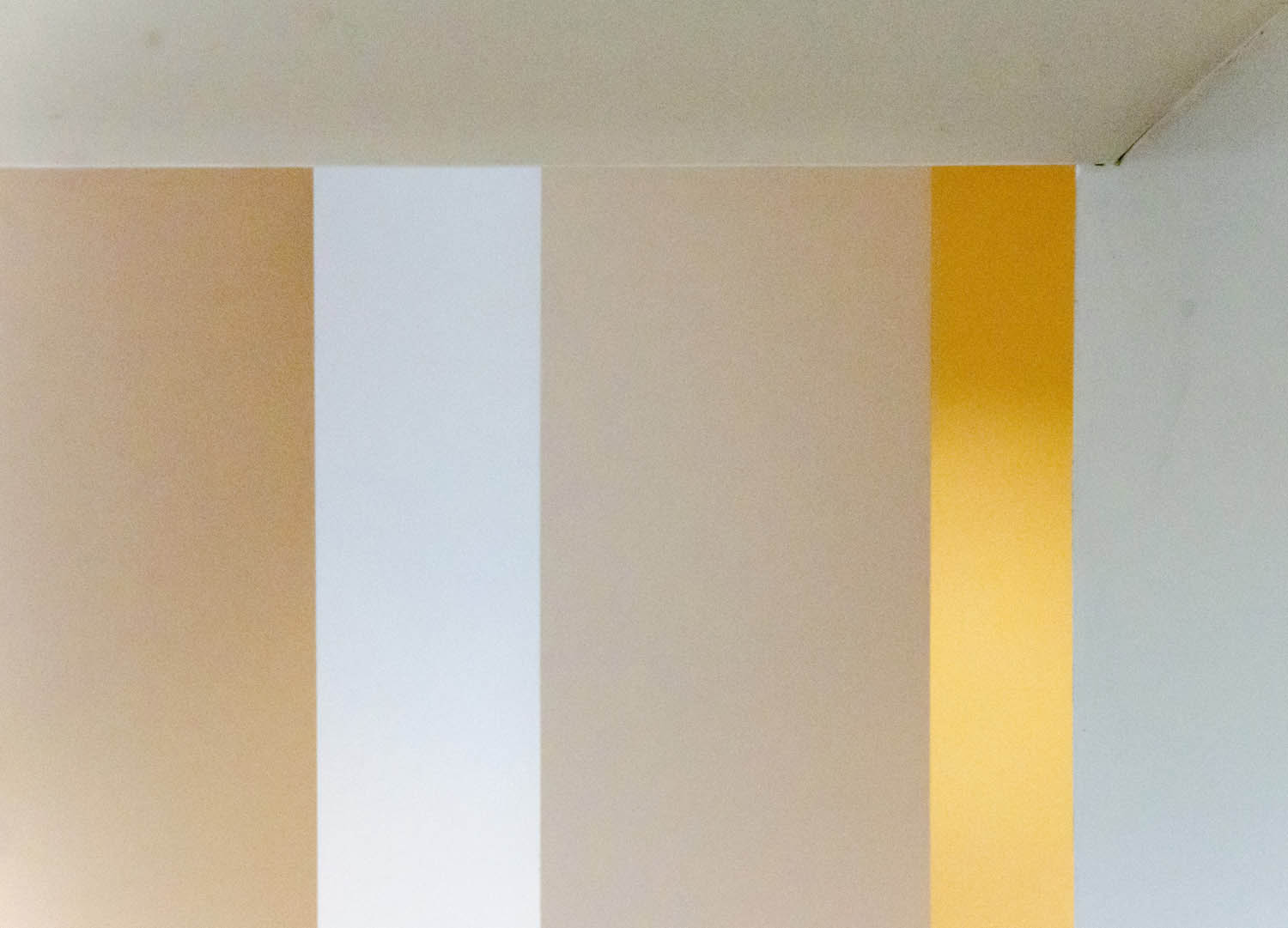 Kavecz Edina fotográfus fotográfus vizsgaremek 