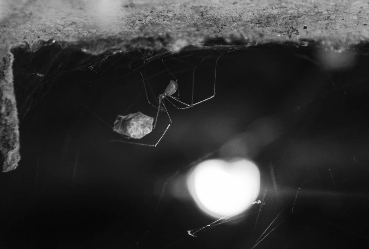 Kavecz Edina fotográfus fotográfus vizsgaremek 