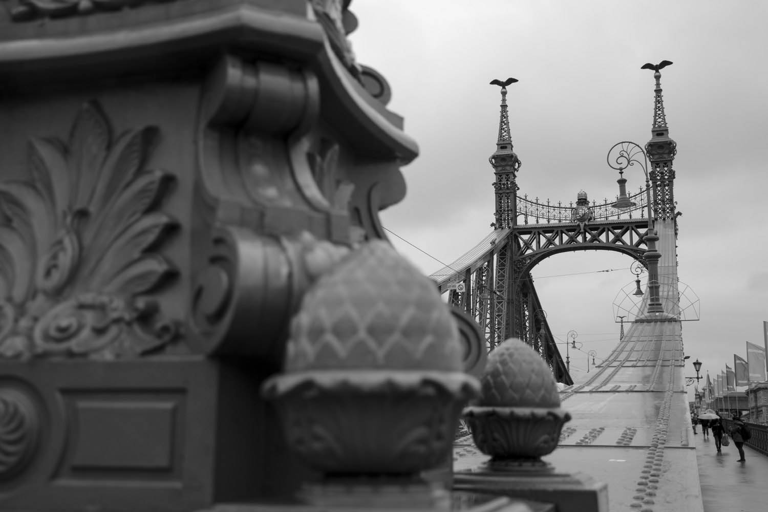 Kavecz Edina fotográfus fotográfus vizsgaremek 