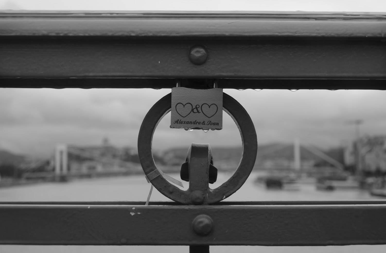 Kavecz Edina fotográfus fotográfus vizsgaremek 