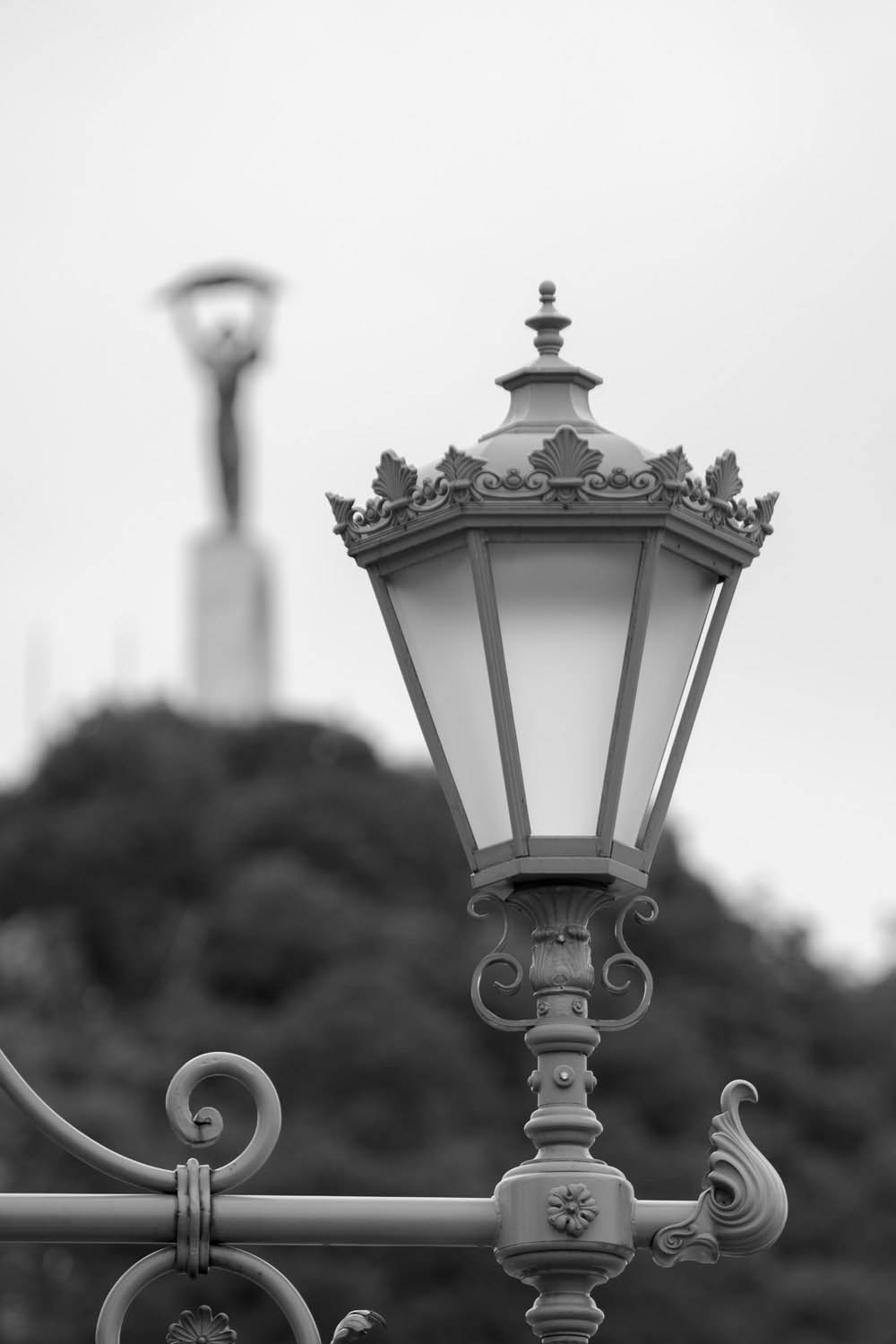 Kavecz Edina fotográfus fotográfus vizsgaremek 