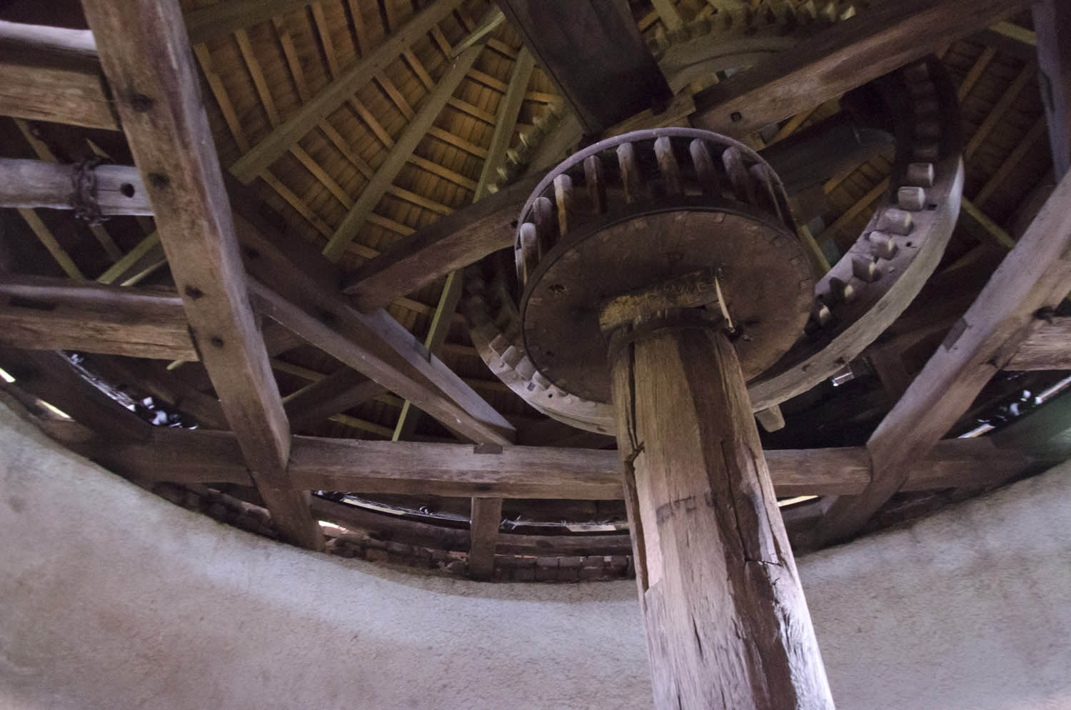 Kavecz Edina fotográfus fotográfus vizsgaremek 