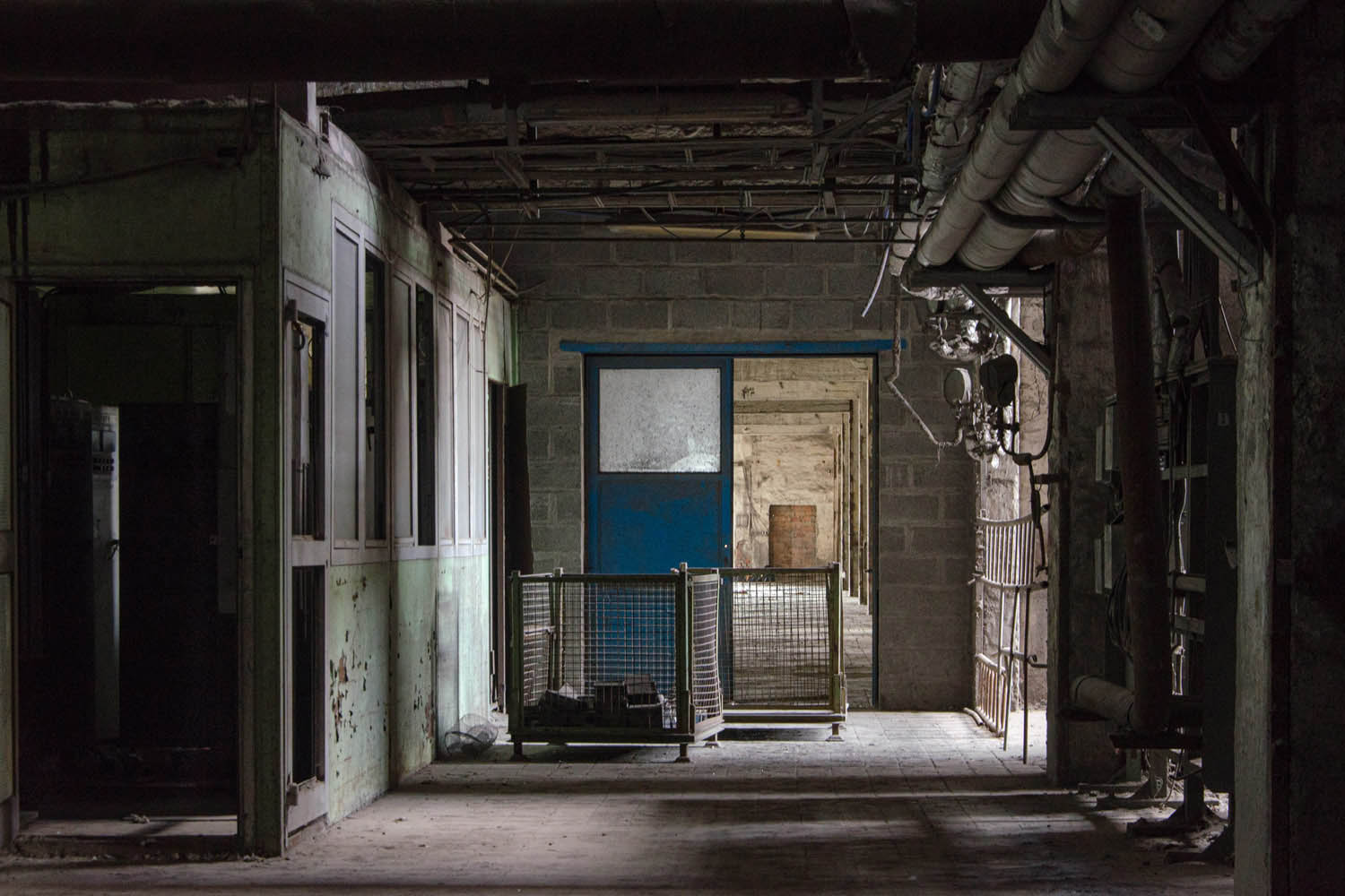 Kavecz Edina fotográfus fotográfus vizsgaremek 