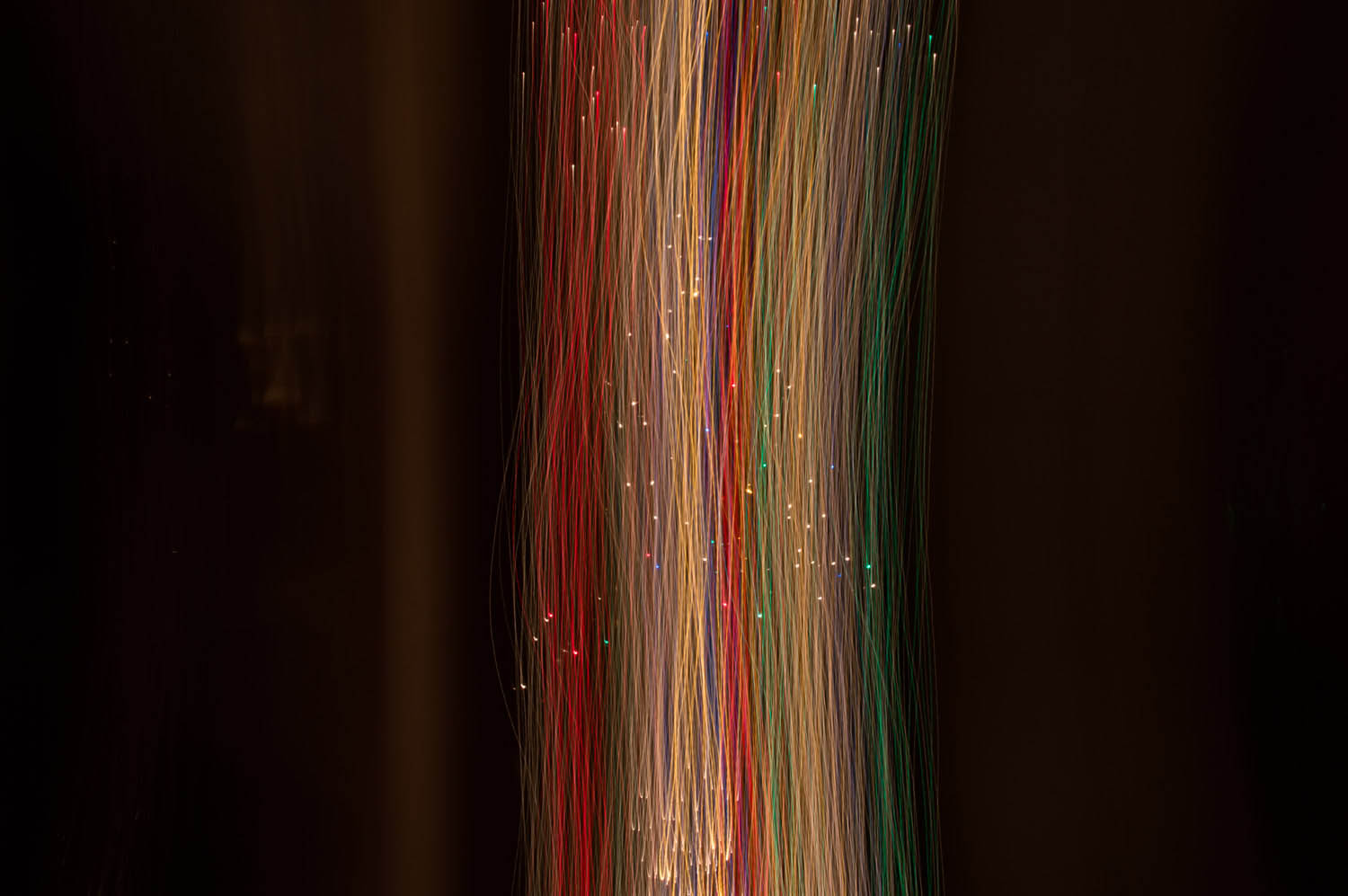 Kiss Nikoletta fotográfus fotográfus vizsgaremek 