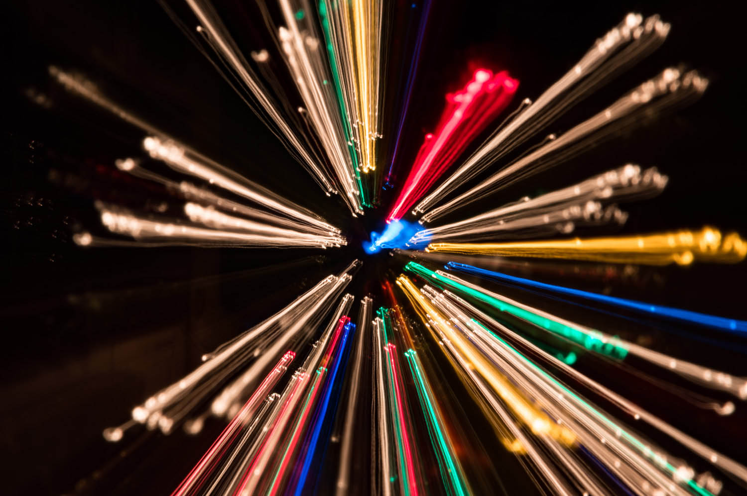 Kiss Nikoletta fotográfus fotográfus vizsgaremek 