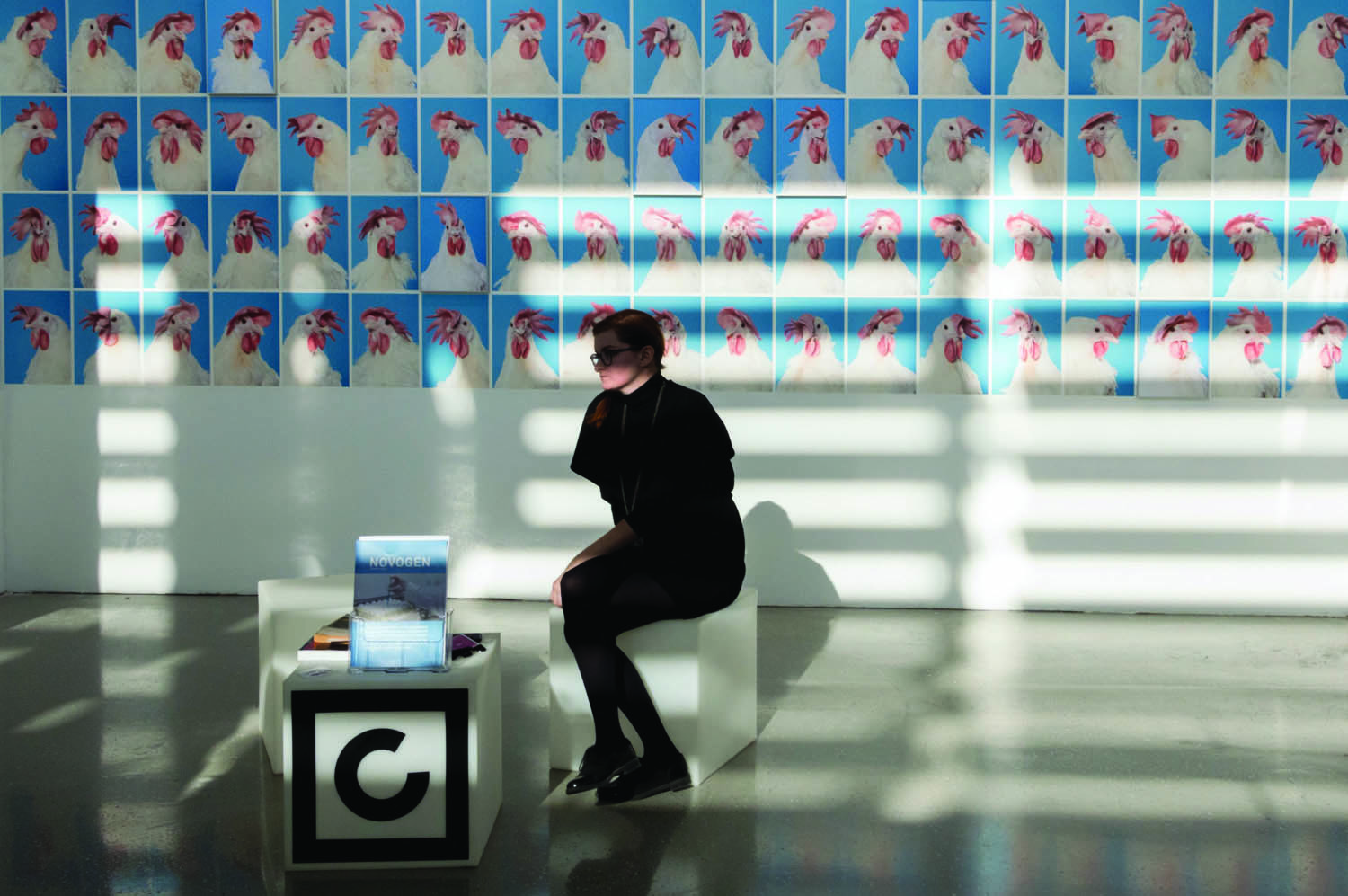 Kiss Nikoletta fotográfus fotográfus vizsgaremek 