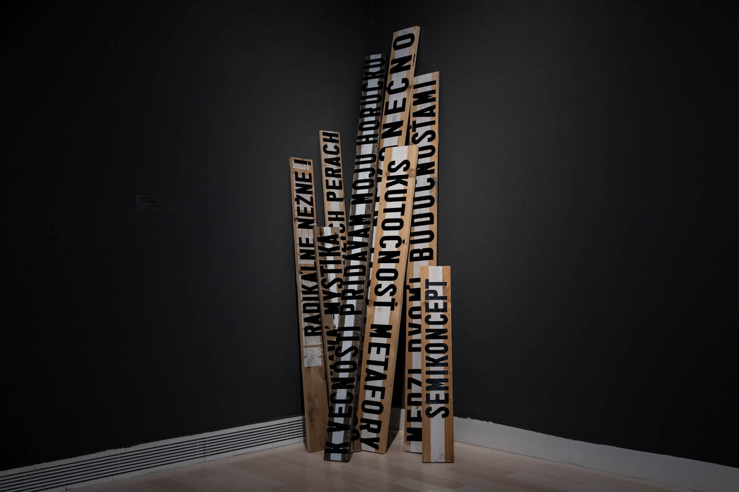 Kiss Nikoletta fotográfus fotográfus vizsgaremek 