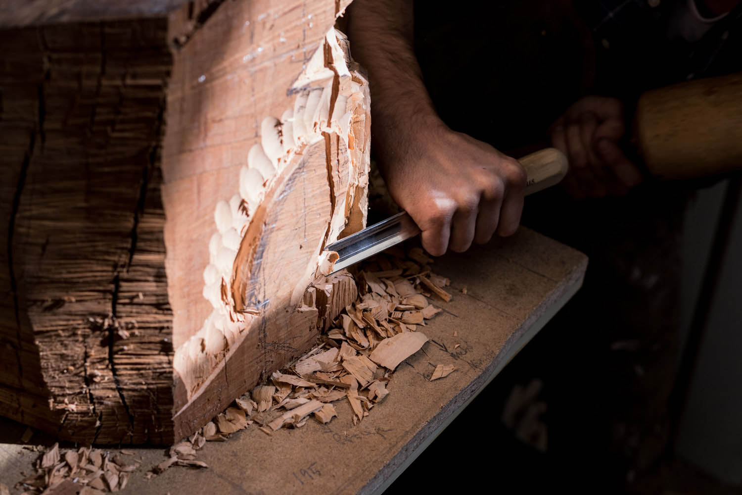 Kiss Nikoletta fotográfus fotográfus vizsgaremek 